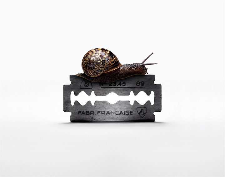 creative-photo-manipulation-nancy-fouts